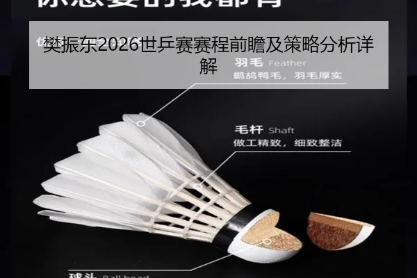 fan-zhen-dong-shi-ping-sai-sai-cheng-qian-zhan-ji-ce-lve-fen-xi-xiang-jie-2-997.jpg